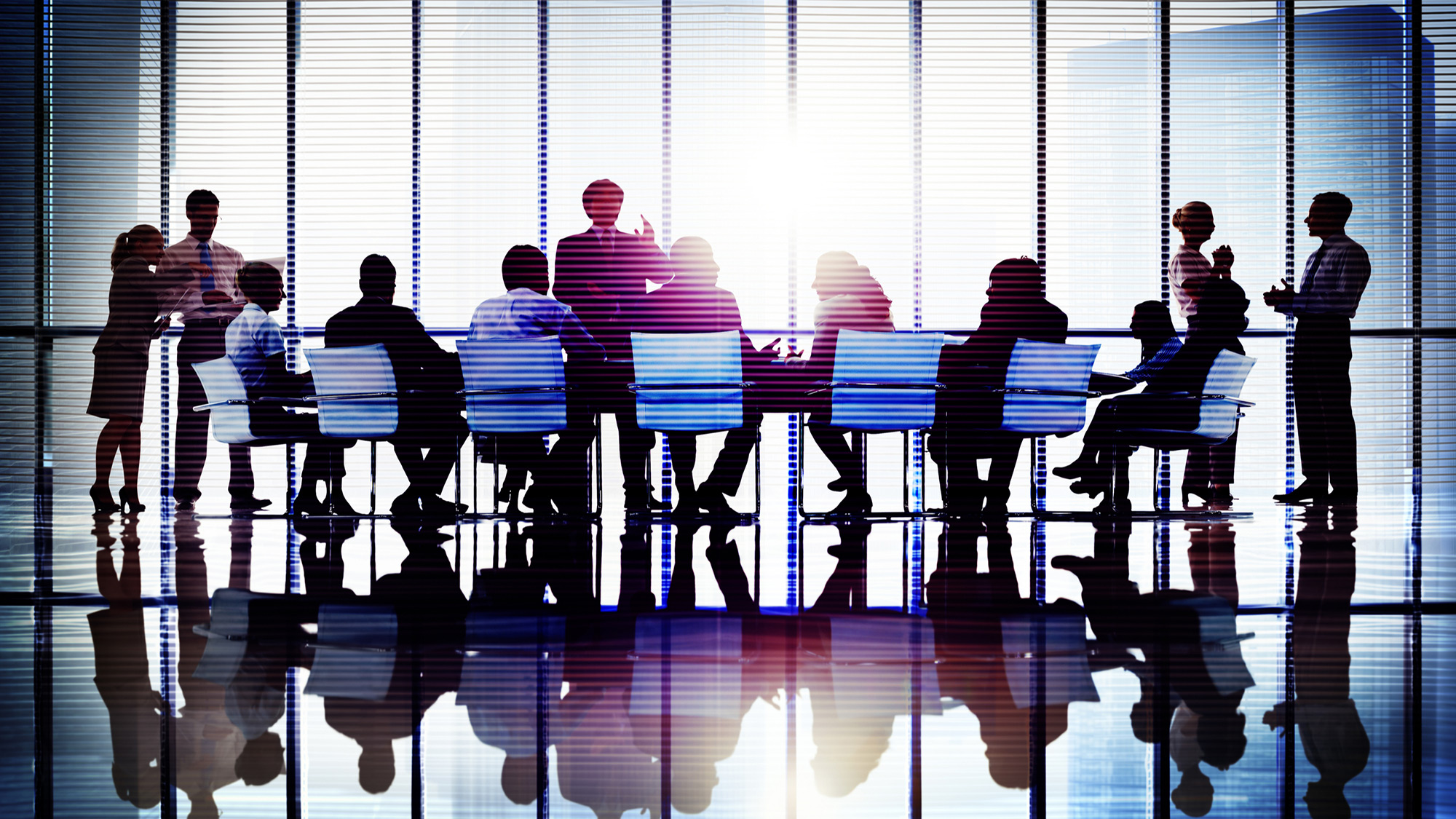 Banner Producto DIIS