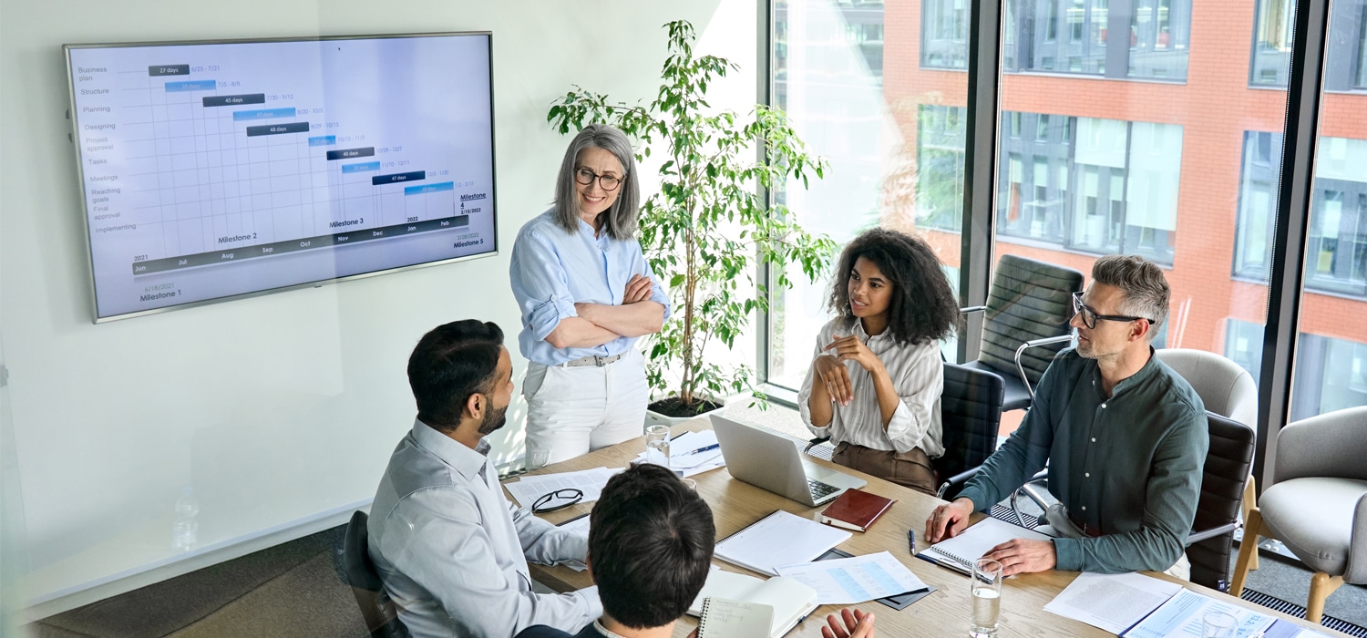 Banner Producto DIIS