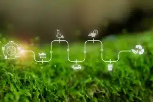 Si una empresa quiere reducir el impacto de su cadena de suministro sobre el medio ambiente, es muy importante que se preocupe de mejorar la forma en que se transportan los productos e insumos.