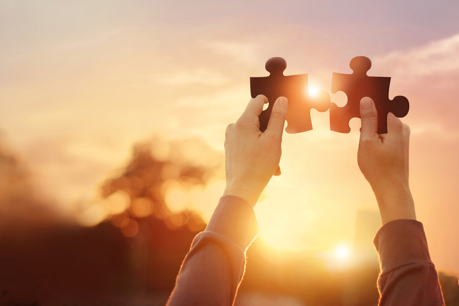 Efecto red: vínculos que enriquecen